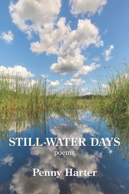 Dni na stojatej vode - Still-Water Days