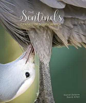 Strážcovia: Žeriavy južnej Afriky - The Sentinels: Cranes of South Africa