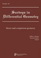 Prieskumy v metrickej diferenciálnej geometrii - Surveys in Differential Geometry Metric