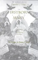 Prvorodený z mnohých - Firstborn of Many