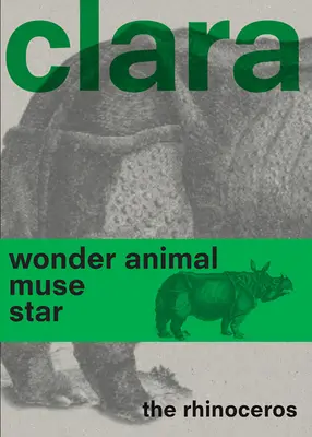 Nosorožec Clara - Clara the Rhinoceros