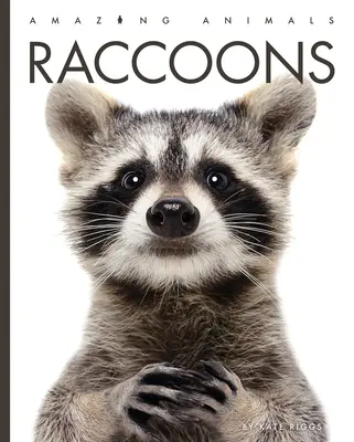 Mývalovia - Raccoons