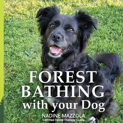 Kúpanie v lese so psom - Forest Bathing with your Dog
