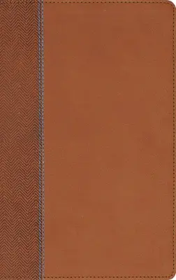 Niv, Quest Study Bible for Teens, Leathersoft, Brown, Comfort Print: Biblia s otázkami a odpoveďami - Niv, Quest Study Bible for Teens, Leathersoft, Brown, Comfort Print: The Question and Answer Bible