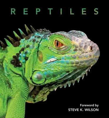 Plazy - Reptiles