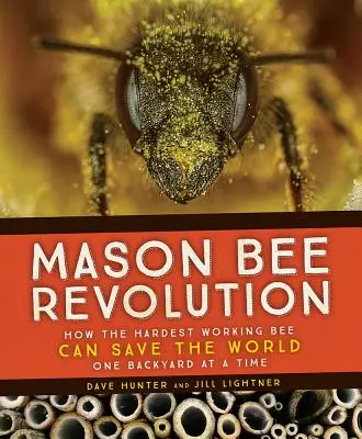 Mason Bee Revolution: Ako môže najťažšie pracujúca včela zachrániť svet - jeden dvor za druhým - Mason Bee Revolution: How the Hardest Working Bee Can Save the World - One Backyard at a Time