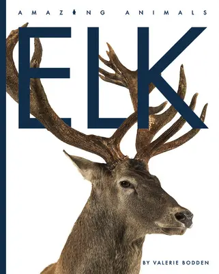 Los - Elk