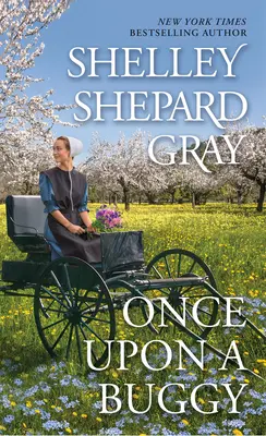 Bolo raz jedno čudo - Once Upon a Buggy