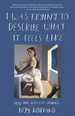 Snažil som sa opísať, aké to je: Nové a vybrané poviedky - I Was Trying to Describe What it Feels Like: New and Selected Stories
