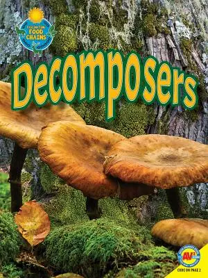 Rozkladači - Decomposers