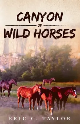 Kaňon divokých koní - Canyon of Wild Horses