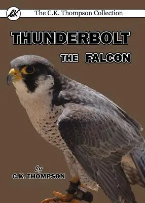 Sokol Blesk - Thunderbolt the Falcon