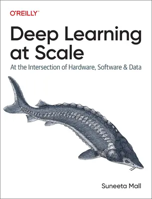 Hlboké učenie vo veľkom meradle: Na priesečníku hardvéru, softvéru a údajov - Deep Learning at Scale: At the Intersection of Hardware, Software, and Data