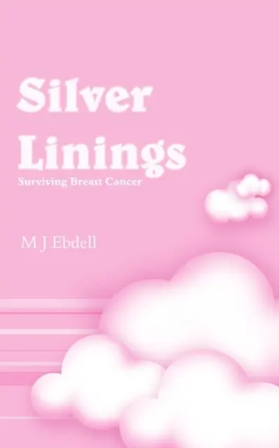 Strieborné podšívky - Silver Linings