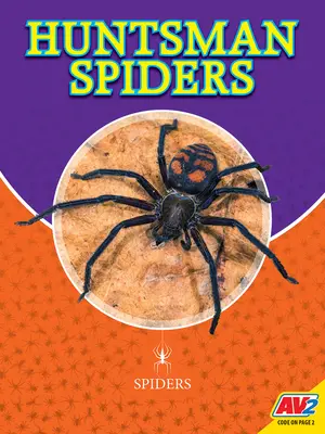 Pavúky Huntsman - Huntsman Spiders