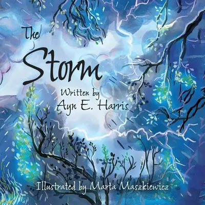 Búrka - The Storm