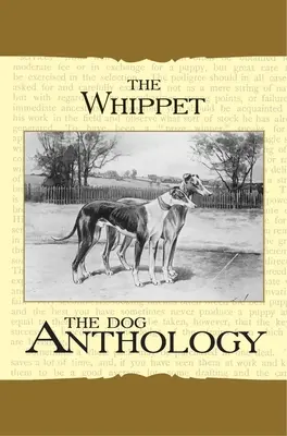 Bičík - antológia o psoch - The Whippet - A Dog Anthology