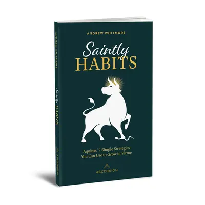 Sväté zvyky: Akvinského: 7 jednoduchých stratégií, ktoré môžete použiť na rast v cnostiach - Saintly Habits: Aquinas' 7 Simple Strategies You Can Use to Grow in Virtue