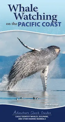 Pozorovanie veľrýb na pobreží Tichého oceánu: Vydajte sa na cestu po Pacifiku: ľahko rozpoznajte veľryby, delfíny a iné morské cicavce - Whale-Watching on the Pacific Coast: Easily Identify Whales, Dolphins, and Other Marine Mammals