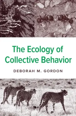Ekológia kolektívneho správania - The Ecology of Collective Behavior