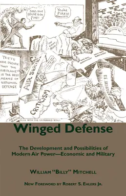 Okrídlená obrana: Vývoj a možnosti modernej vzdušnej sily - ekonomické a vojenské - Winged Defense: The Development and Possibilities of Modern Air Power-Economic and Military