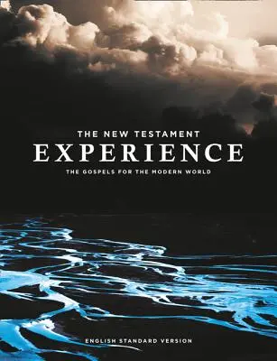 Skúsenosti z Nového zákona: Evanjeliá pre moderný svet - The New Testament Experience: The Gospels for the Modern World