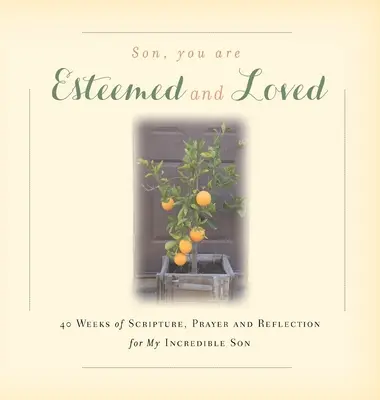 Syn, si vážený a milovaný: 40 týždňov Písma, modlitieb a úvah pre môjho neuveriteľného syna - Son, You are Esteemed and Loved: 40 Weeks of Scripture, Prayer and Reflection for My Incredible Son