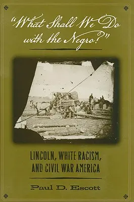 Čo urobíme s černochmi? Lincoln, biely rasizmus a občianska vojna v Amerike - What Shall We Do with the Negro?: Lincoln, White Racism, and Civil War America