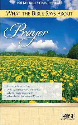Čo hovorí Biblia o modlitbe - What the Bible Says about Prayer