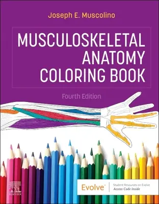 Omaľovánky z anatómie pohybového aparátu - Musculoskeletal Anatomy Coloring Book