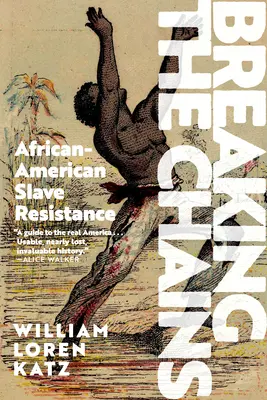 Pretrhnutie reťazí: Odboj afroamerických otrokov - Breaking the Chains: African American Slave Resistance