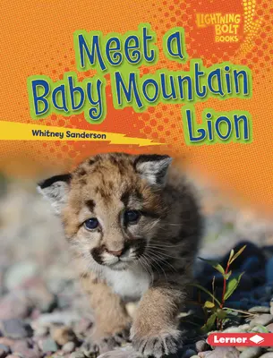 Zoznámte sa s mláďaťom leva horského - Meet a Baby Mountain Lion