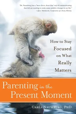 Rodičovstvo v prítomnom okamihu: Ako sa sústrediť na to, na čom skutočne záleží - Parenting in the Present Moment: How to Stay Focused on What Really Matters
