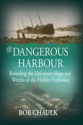 Nebezpečný prístav: Odhalenie neznámych lodí a vrakov pri výbuchu v Halifaxe - The Dangerous Harbour: Revealing the Unknown Ships and Wrecks of the Halifax Explosion