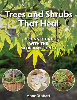 Stromy a kríky, ktoré liečia: Opätovné spojenie s liečivým lesom - Trees and Shrubs That Heal: Reconnecting with the Medicinal Forest