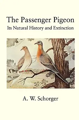 Pasažiersky holub - The Passenger Pigeon