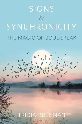 Znamenia a synchronicita: S: The Magic of Soul-Speak (Kúzlo reči duše) - Signs & Synchronicity: The Magic of Soul-Speak
