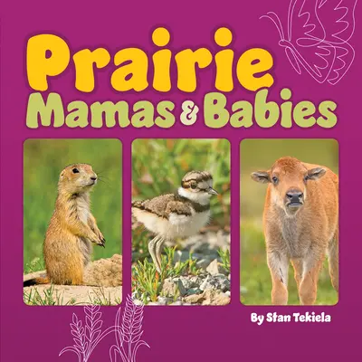 Prérijné mamičky a bábätká - Prairie Mamas & Babies