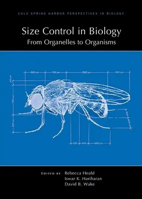 Kontrola veľkosti v biológii: Od organel k organizmom - Size Control in Biology: From Organelles to Organisms