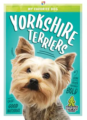 Yorkshirskí teriéri - Yorkshire Terriers
