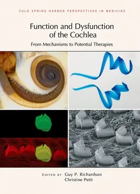 Funkcia a dysfunkcia slimáka: Od mechanizmov k potenciálnej terapii - Function and Dysfunction of the Cochlea: From Mechanisms to Potential Therapies