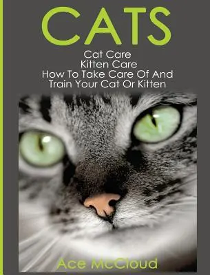 Mačky: Starostlivosť o mačky: Ako sa starať a cvičiť mačku alebo mačiatko - Cats: Cat Care: Kitten Care: How To Take Care Of And Train Your Cat Or Kitten