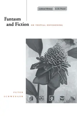 Fantázia a fikcia: O textovej imaginácii - Fantasm and Fiction: On Textual Envisioning