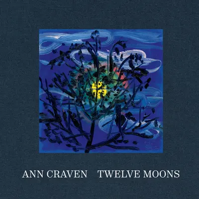 Ann Cravenová: Dvanásť mesiacov - Ann Craven: Twelve Moons