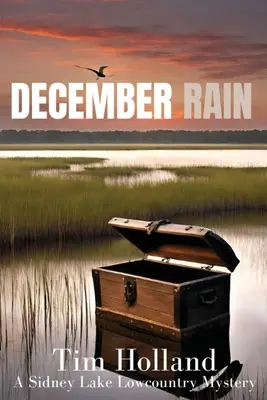Decembrový dážď - December Rain