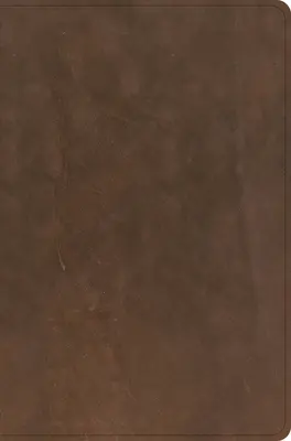 CSB Pánska denná Biblia, hnedá pravá koža - CSB Men's Daily Bible, Brown Genuine Leather