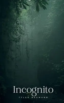 Inkognito - Incognito