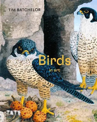 Vtáky - Birds