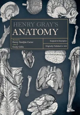 Henry Gray's Anatomy: Surgical and Descriptive
