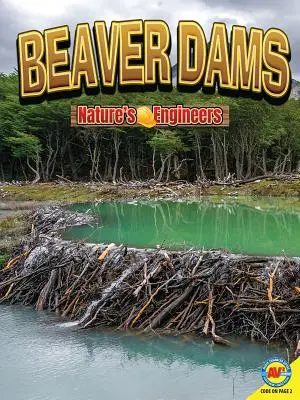 Bobrie priehrady - Beaver Dams